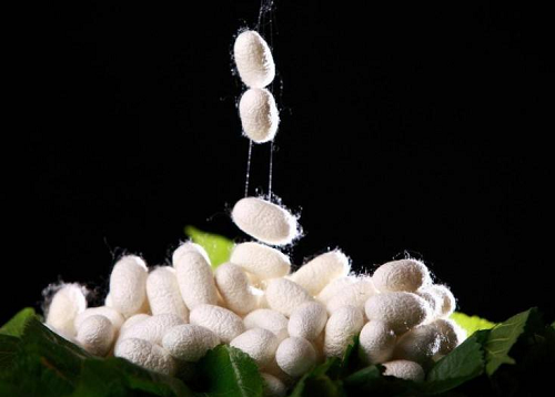 天然面料有哪些？天然面料的優(yōu)缺點？