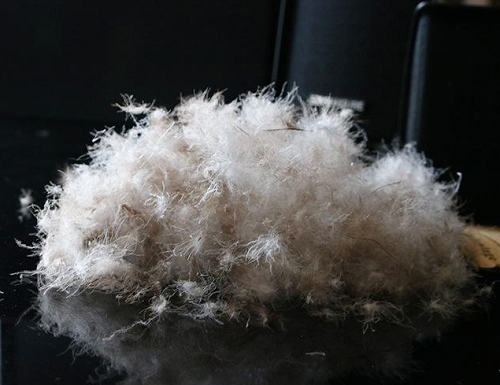 灰鴨絨的優(yōu)缺點(diǎn)？灰鴨絨衣服怎么洗？